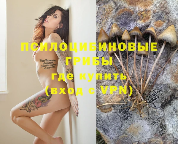 синтетический гашиш Белокуриха