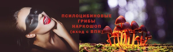 стафф Беломорск