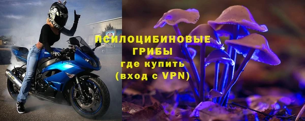 стафф Беломорск