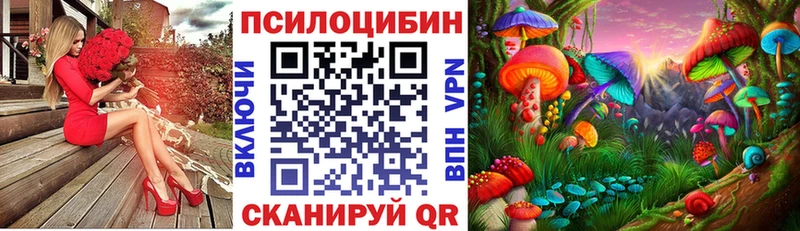 где купить наркотик  Троицк  Псилоцибиновые грибы ЛСД 