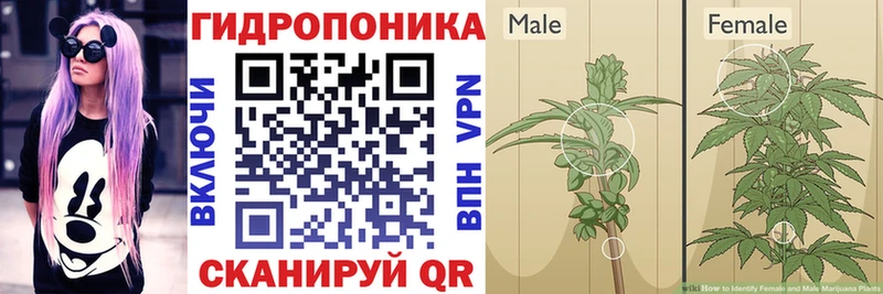 Канабис гибрид Троицк